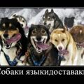 Р”РµРјРѕС‚РёРІР°С‚РѕСЂС‹, С‡Р°СЃС‚СЊ 233. (50 С„РѕС‚Рѕ)