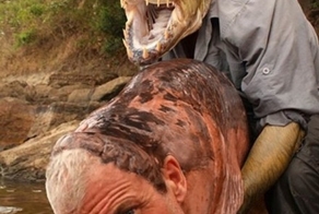 15 Disturbing Animal Face Swaps!