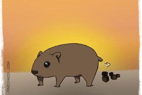 6 Weird Animal Facts