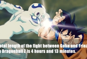 Funny facts