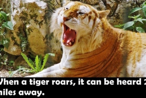 25 interesting facts