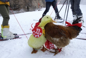 Bizzarre ski competition