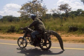 Meanwhile in Africa