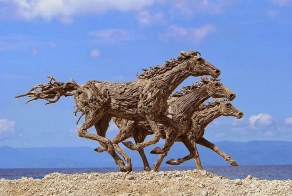 Amazing driftwood sculptures