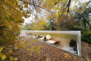 Office in the forest