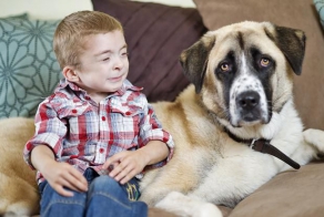 An ill boy and his dog