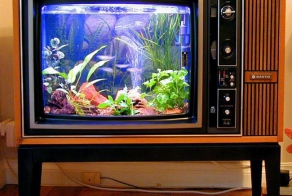 Old things turned into creative household objects