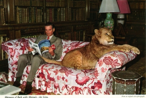 15 unusual funny photos from Britain