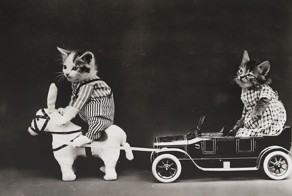 Almost 100 Years Ago, He Took Unbearably Cute Animal Photos.