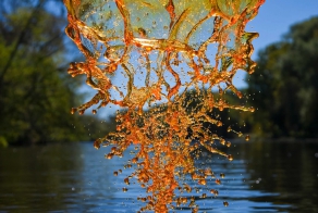 Spectacular Splashes Create Colorful Liquid Creatures
