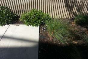 A Guy Spotted This Outside Of His Office Building. Read more at http:/