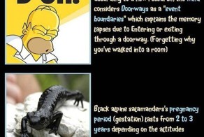 Unbelievable But True Facts