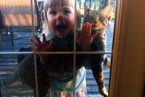 Here Are 18 Pieces Of Undeniable Proof That Children At Just Flat Out