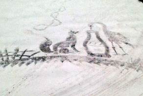 A School Groundskeeper In Russia creates large drawings in the snow