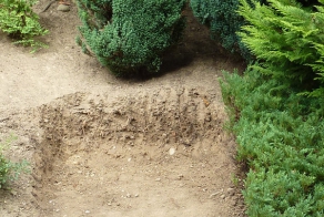 What This Father And Son Built In Their Backyard Is So Awesome.