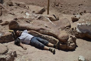 Largest Dinosaur Ever Gets Discovered In Argentina