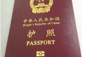 4 Year Old Paints Dad's Passport