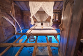 Amazing Room's Glass Floor Reveals Underwater Wonders