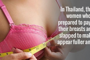 The Coolest Facts You'll Learn Today
