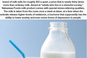 The Most Expensive Foods You Can Buy In Japan