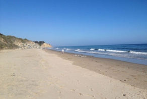 A Surprisingly Big Boat Found Buried on the Beach