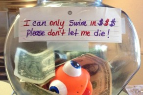 Here Are Genius Tip Jars Guaranteed To Make Customers Very Generous