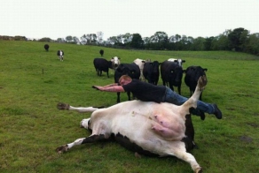 The Masters of Planking