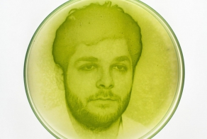 This Artist Combines Science And Art To Create Photos With Algae