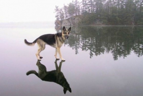 Impossible-Looking Photos That Are Actually Quite Real!