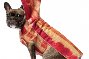 Bacon Is Everywhere! Awesome and Weird Bacon Related Products.