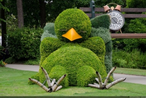 Impressive topiary sculptures