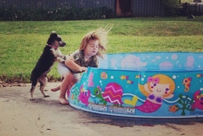 Animals Who've Had Enough Of The Kids In The Family