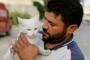 This Man's Daily Act Of Kindness To Cats In Syria Is Truly Incredible