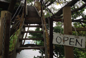 Everything About This Tree House Cafe Is Perfect