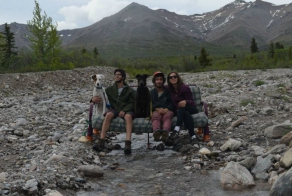Three Friends, Two Dogs, One Futon: A Lighthearted Road Trip Series