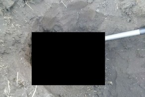 Strange Discovery in a Pile of Dirt