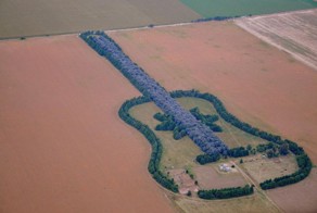 Guitar-Shaped Forest In Argentina By Pedro Martin Ureta
