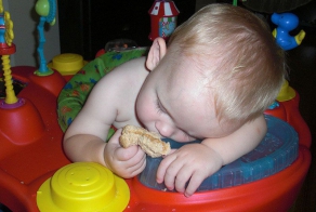 Sometimes, the Need to Nap is Just Too Strong to Resist