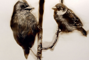 Fire Paintings: Artist Draws With Flames And Soot
