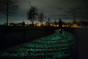 Solar-Powered Glowing Bicycle Path In Netherlands