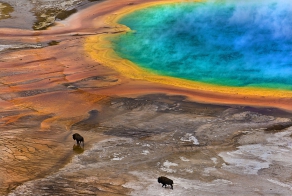 Winners From This Year's Society Of Biology Photo Contest