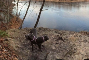 When Panorama Photos Glitch And Fail, They Turn Into Creepy Nightmare