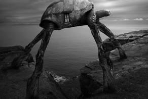 Surreal Portraits Of Animals Traveling The Earth
