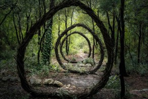 Artist Spent a Year in the Woods Creating Mysterious Sculptures