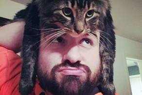 People Wearing Cats As Hats Is The Cutest Trend Right Now