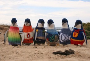 Australia’s Oldest Man Knits Tiny Sweaters For Injured Penguins