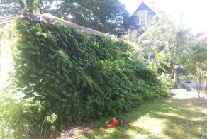 He Put 6 Poles In The Ground. The End Results Are Stunning!