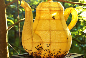60,000 Bees Created The Most Beautiful Teapot You Will Ever See.