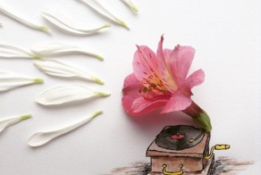 Kristian Mensa Creates Illustrations Using Everyday Objects
