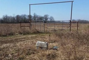 What Bikers Randomly Discovered Hidden On The Side Of The Road